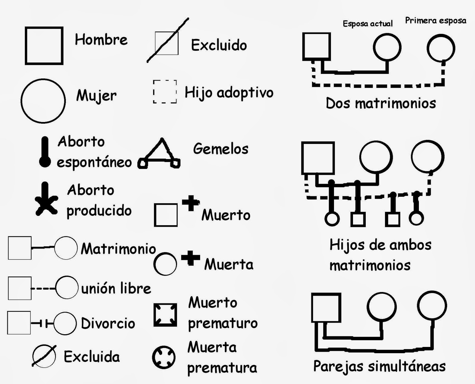 como hacer un familiograma
